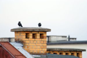 masonry chimney with birds